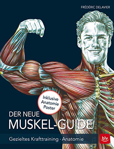 Der neue Muskel Guide: Gezieltes Krafttraining · Anatomie · Mit Poster